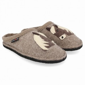 Men's Haflinger PONI Slippers Brown | NZ JKN209