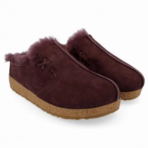 Men's Haflinger SASKATCHEWAN Clogs Purple | NZ WCV348