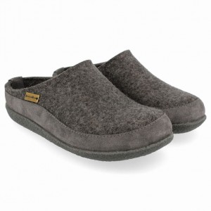 Men's Haflinger SKANE Clogs Grey | NZ CSN261