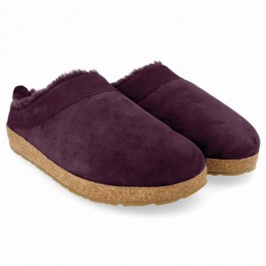 Men's Haflinger SNOWBIRD Clogs Purple | NZ VYM691