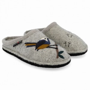 Men's Haflinger SONGBIRD Slippers Light Grey | NZ UGK087