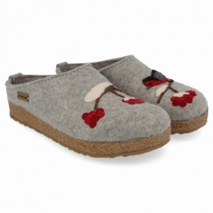 Men's Haflinger WINTERBIRD Clogs Light Grey | NZ DQM084