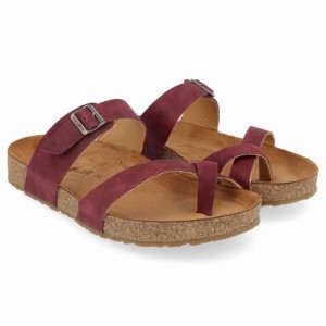 Women's Haflinger JUNO Sandals Purple | NZ KNJ650