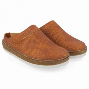 Women's Haflinger NEO Clogs Brown | NZ TQB905