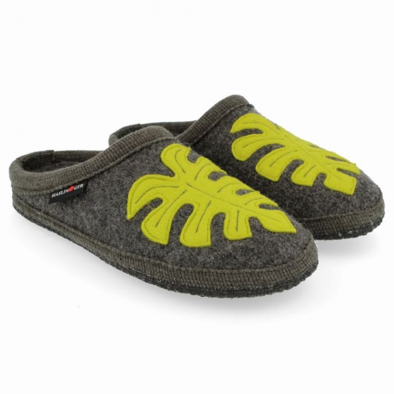 Men\'s Haflinger MONSTERA Slippers Grey | NZ DIJ081