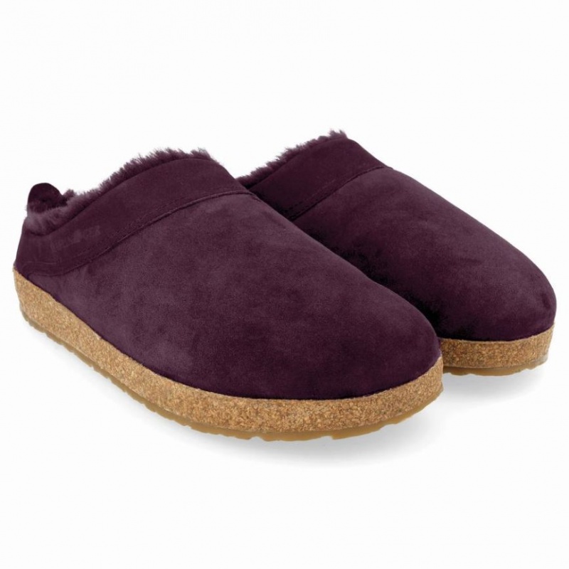 Men\'s Haflinger SNOWBIRD Clogs Purple | NZ VYM691